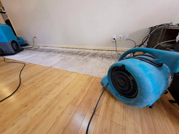 Professional Water Damage Repair technician working in Winfield, IA